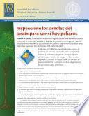 Inspeccione los árboles del jardín para ver si hay peligros Inspeccione los árboles del jardín para ver si hay peligros