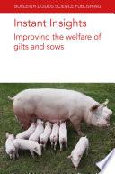 Instant Insights: Improving the welfare of gilts and sows