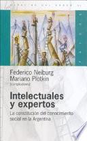 Intelectuales y expertos