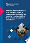 Inversión pública productiva en la agricultura para la recuperación económica con bienestar rural: un análisis de escenarios prospectivos para México