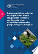 Inversión pública productiva en la agricultura para la recuperación económica con bienestar rural: un análisis de escenarios prospectivos para Paraguay