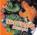Invertebrados