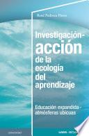 Investigación-acción de la ecología del aprendizaje