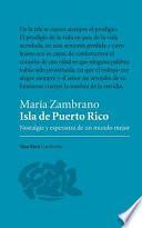 Isla de Puerto Rico