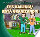 It's Hailing! / ¡Está granizando!