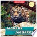 Jaguars and Other Latin American Wild Cats / Jaguares y otros felinos de Latinoamérica