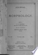 Journal of Morphology