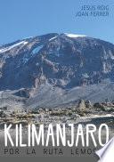 Kilimanjaro por la ruta Lemosho