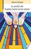 La acción del Espíritu Santo en las almas