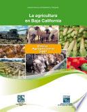 La agricultura en Baja California. Censo Agropecuario 2007
