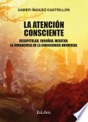 La atención consciente. Recapitular, ensoñar, meditar: la inmanencia de la consciencia universal