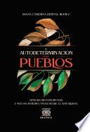 La autodeterminación de los pueblos, génisis, metamorfosis y nuevas perspectivas desde el sur global