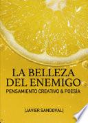 La belleza del enemigo