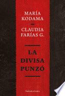 La divisa punzó