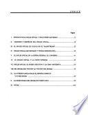 La encrucijada del idioma