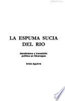 La espuma sucia del río