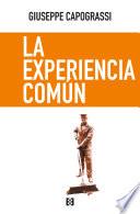 La experiencia común