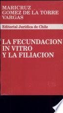 La fecundación in vitro y la filiación