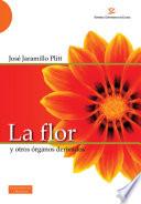La flor y otros órganos derivados