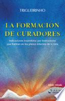 La Formación de Curadores