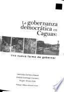 La gobernanza democrática en Caguas