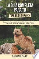 La Guía Completa Para Tu Terrier De Norwich