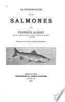 La introducción de los salmones