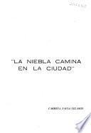 La niebla camina en la ciudad