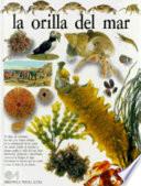 La orilla del mar
