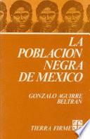 La población negra de México