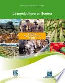 La porcicultura en Sonora. Censo Agropecuario 2007