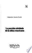 La porción olvidada de la niñez mexicana