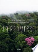La promesse