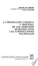 La protección jurídica y procesal de los derechos humanos ante las jurisdicciones nacionales
