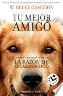 La razón de estar contigo / A Dog's Purpose