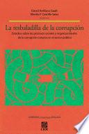 La resbaladilla de la corrupción