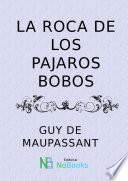 La roca de los pajaros bobos