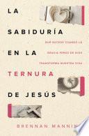 La sabiduría en la ternura de Jesús