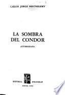 La sombra del condor