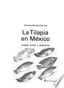 La tilapia en México