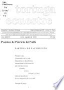 La tortuga ecuestre