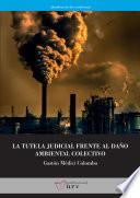 La tutela judicial frente al daño ambiental colectivo