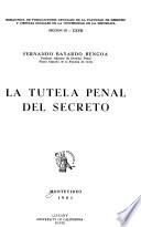 La tutela penal del secreto