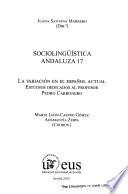 La variación en el español actual