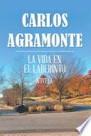 LA VIDA EN EL LABERINTO