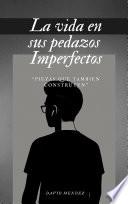 La vida en sus pedazos imperfectos