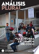 La zozobra en tiempos de COVID. Segundo Semestre 2020 (Análisis plural)