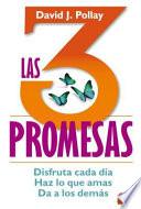 Las 3 Promesas