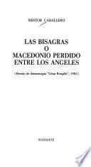 Las bisagras, o, Macedonio perdido entre los ángeles