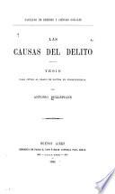 Las Causas del Delito